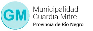 Municipio de Guardia Mitre